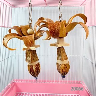 鸚鵡啃咬玩具 出貨快 現貨 台灣製 鸚鵡玩具 天然啃咬串 手作啃咬玩具 鸚鵡用品 適合中小型鸚鵡-細節圖3