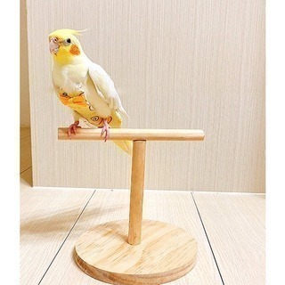 【鸚鵡玩國】鸚鵡桌上站架 台灣製 鸚鵡玩具 鸚鵡站台 訓練站架 棲木站台 原木站台 適合 虎皮 小鸚 玄鳳 小太陽等-細節圖3