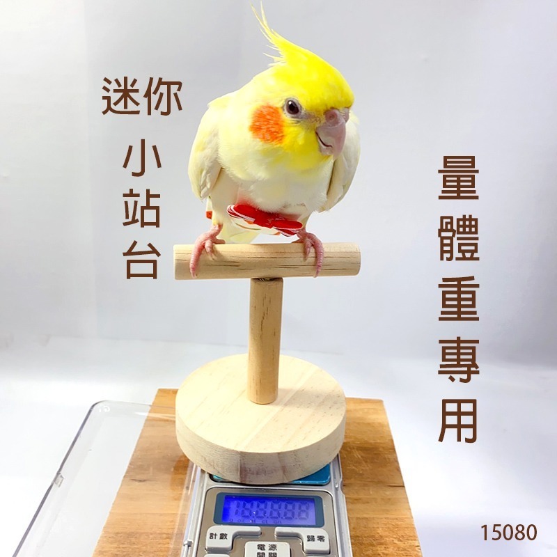 【鸚鵡玩國】鸚鵡桌上站架 台灣製 鸚鵡玩具 鸚鵡站台 訓練站架 棲木站台 原木站台 適合 虎皮 小鸚 玄鳳 小太陽等-細節圖8