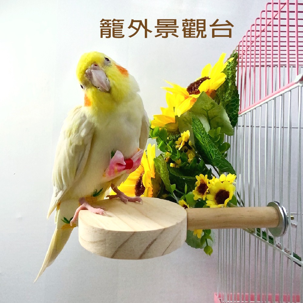 鸚鵡原木站台 台灣製當天寄 倉鼠龍貓 啃咬玩具 原木踏板 站台 跳台 跳板 踏板 木頭休息台 適合中小型鸚鵡 小寵用品-細節圖2