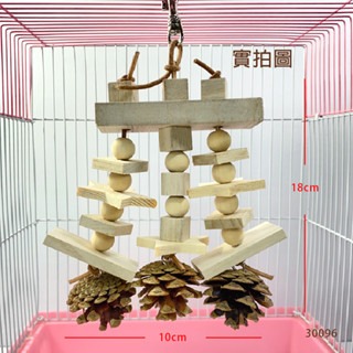 鸚鵡玩具 鳥玩具 當天寄出 台灣製 天然啃咬玩具 鸚鵡用品 鸚鵡啃咬串 原木玩具 輕木玩具 鸚鵡 小寵 適用-細節圖2