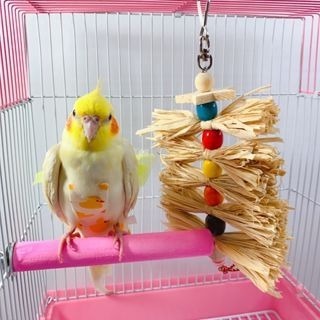 【鸚鵡玩國】拉菲草玩具 鸚鵡 玩具 鸚鵡啃咬 鸚鵡 用品 天然 草編 玩具 鳥玩具 懸掛玩具 拉菲草啃咬 天然啃咬-細節圖2