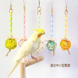 【鸚鵡玩國】小鸚鵡玩具 台灣製 鳥用品 鳥玩具 鸚鵡啃咬串 藤球玩具 橫斑 虎皮 太平洋 牡丹 愛情鳥 玄鳳-細節圖2