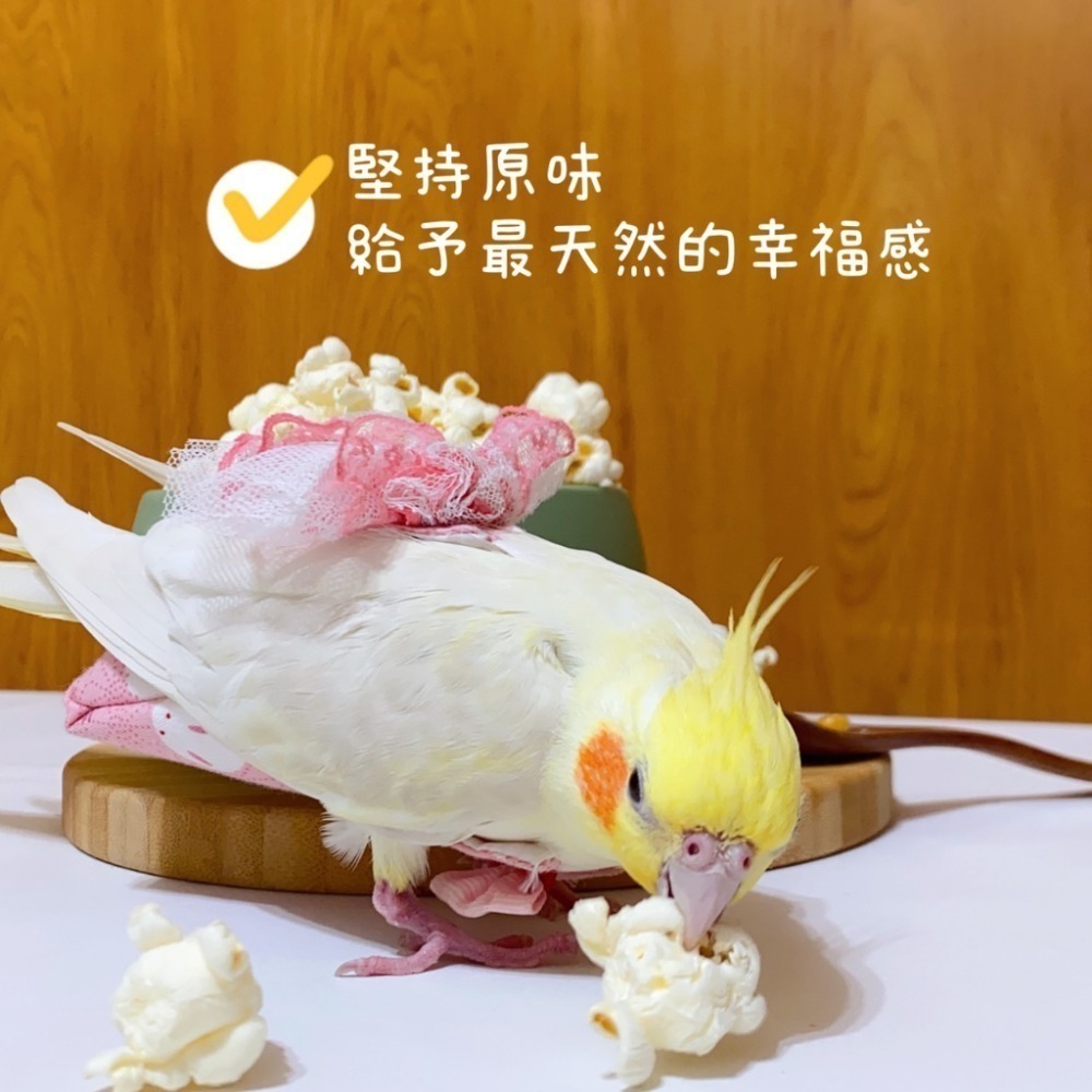 【鸚鵡玩國】鸚鵡爆米花 堅持原味 當天新鮮製作 天然無調味爆米花 鸚鵡零食 鳥零食 小鼠零食 無油 無鹽 無糖-細節圖2