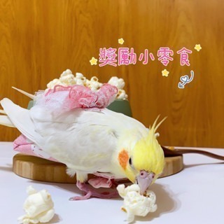 【鸚鵡玩國】鸚鵡爆米花 堅持原味 當天新鮮製作 天然無調味爆米花 鸚鵡零食 鳥零食 小鼠零食 無油 無鹽 無糖-細節圖3