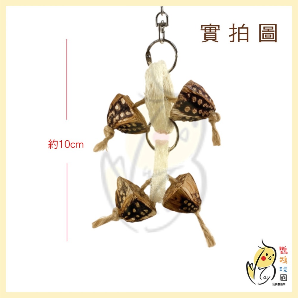 【鸚鵡玩國】鸚鵡玩具 台灣製 天然啃咬玩具 絲瓜絡 小鸚鵡 啃咬串 小鳥玩具 鸚鵡用品 磨牙小玩具 虎皮 小鸚...等-細節圖2