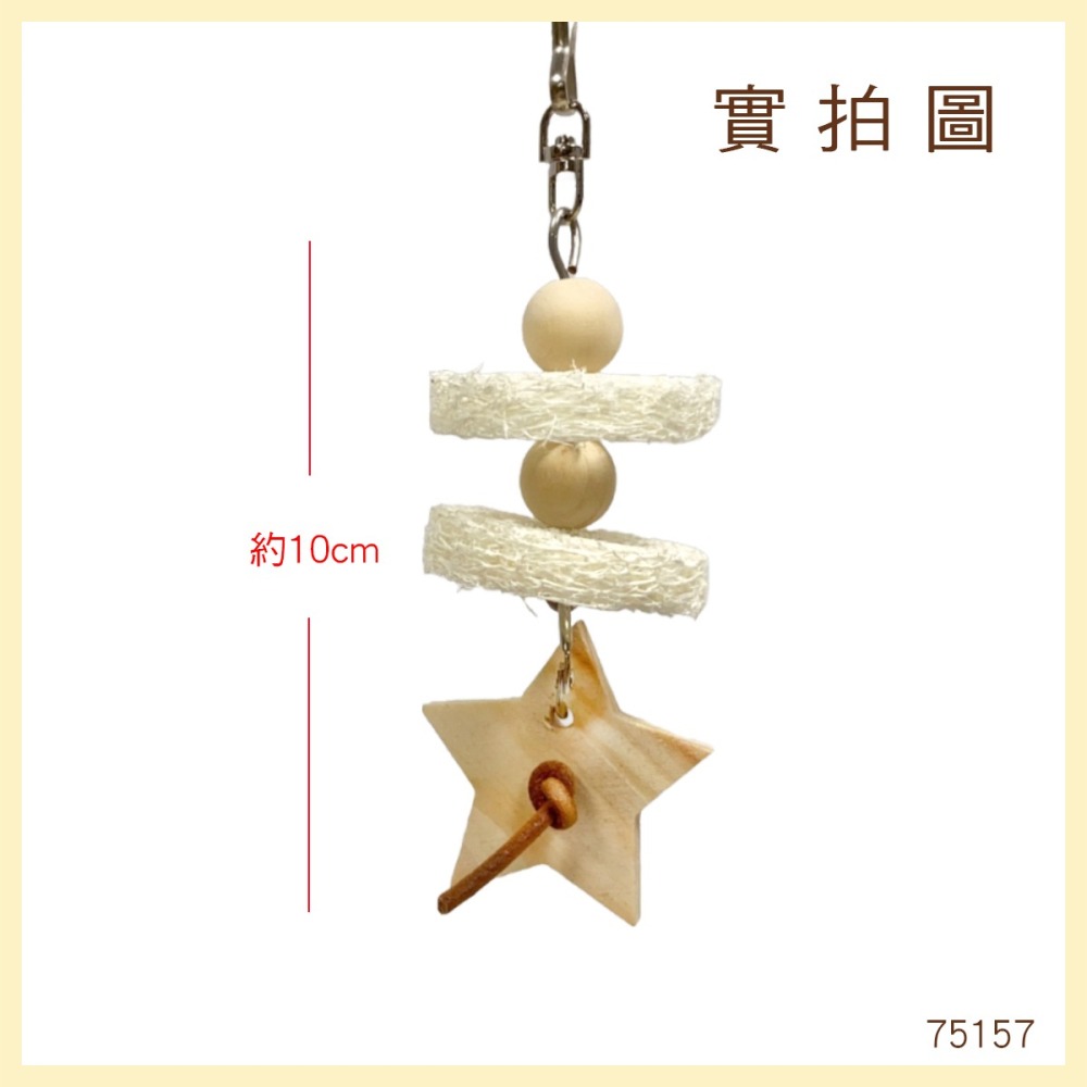 【鸚鵡玩國】鸚鵡玩具 台灣製 天然啃咬玩具 絲瓜絡 小鸚鵡 啃咬串 小鳥玩具 鸚鵡用品 磨牙小玩具 虎皮 小鸚...等-細節圖4