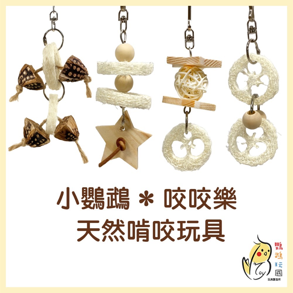 【鸚鵡玩國】鸚鵡玩具 台灣製 天然啃咬玩具 絲瓜絡 小鸚鵡 啃咬串 小鳥玩具 鸚鵡用品 磨牙小玩具 虎皮 小鸚...等-規格圖7