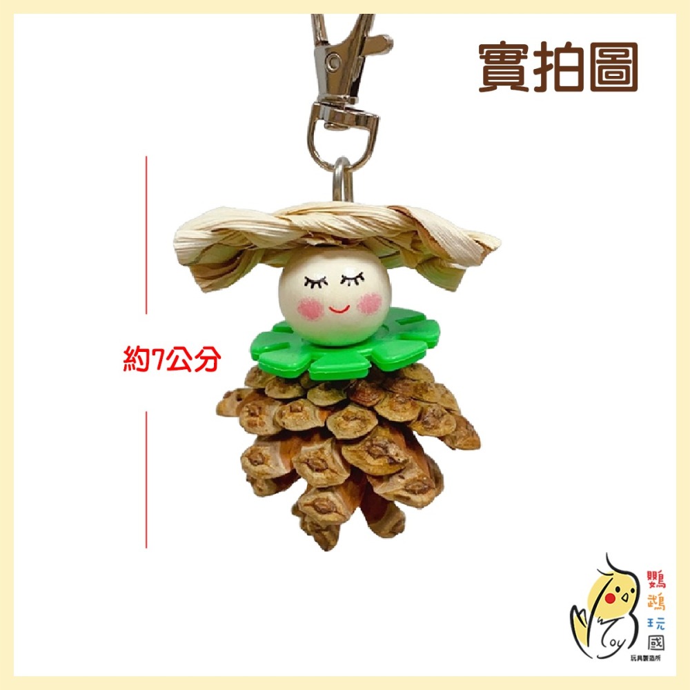 【鸚鵡玩國】鸚鵡玩具 台灣製 天然啃咬串 小鸚鵡用品 小鳥玩具 小松果玩具 小型鸚鵡玩具 小鸚 太平洋 虎皮 玄鳳..等-細節圖2