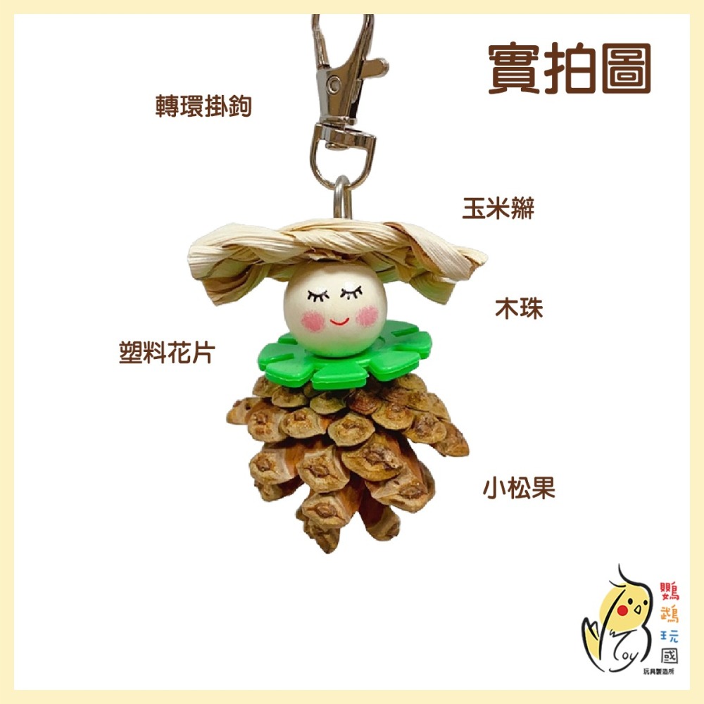 【鸚鵡玩國】鸚鵡玩具 台灣製 天然啃咬串 小鸚鵡用品 小鳥玩具 小松果玩具 小型鸚鵡玩具 小鸚 太平洋 虎皮 玄鳳..等-細節圖3