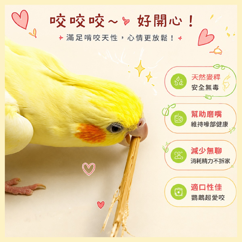 【鸚鵡玩國】鸚鵡玩具｜天然啃咬小麥稈｜啃咬舒壓｜鳥玩具｜小中型鸚鵡玩具｜天然啃咬玩具｜小麥秸稈｜虎皮 和尚 凱克 小鸚-細節圖2