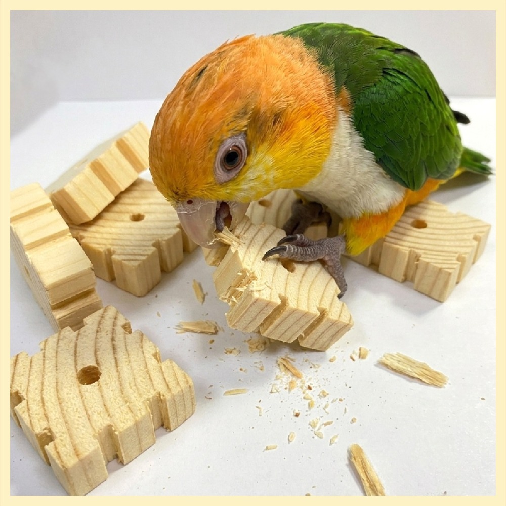 【鸚鵡玩國】11入裝 鸚鵡天然原木啃咬積木 啃咬玩具 DIY 補充木塊 磨嘴耐咬 灰鸚 折衷 凱克 和尚 金太陽 牡丹等-細節圖2