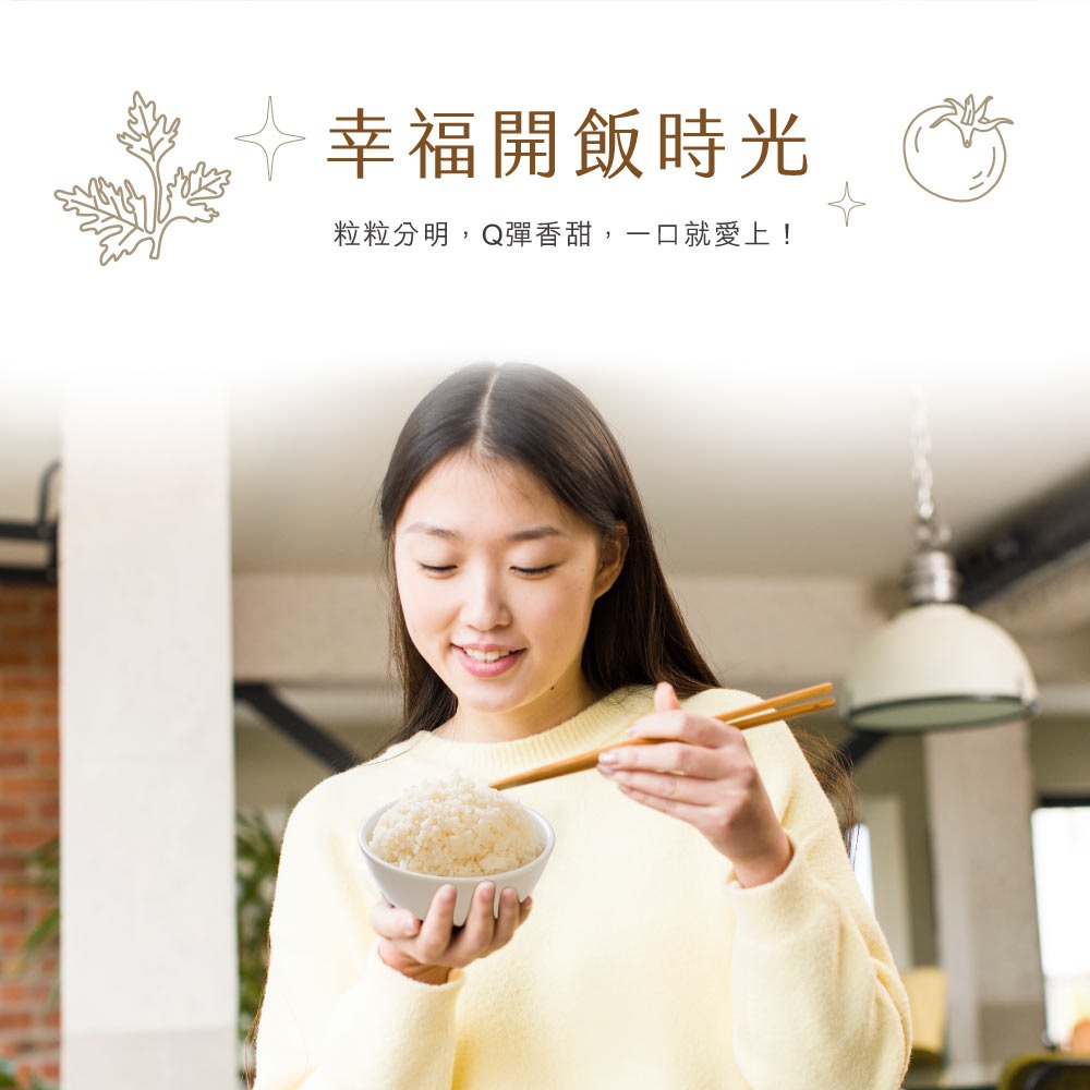 RASTO 美型不沾內膽電子鍋贈量杯飯瓢AP-6-細節圖2