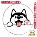 門禁卡貼紙 24寄出 IC 複製卡 ic cuid 磁扣 感應磁扣 MF複製卡 重複讀寫可過防火牆 13.56MHz-規格圖11