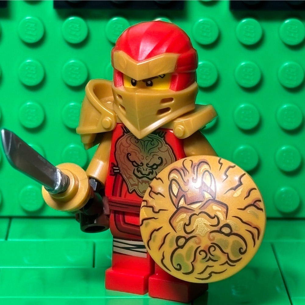 ‼️郭郭‼️ LEGO樂高 71717 71720 71721盾牌忍者一套六隻-細節圖7