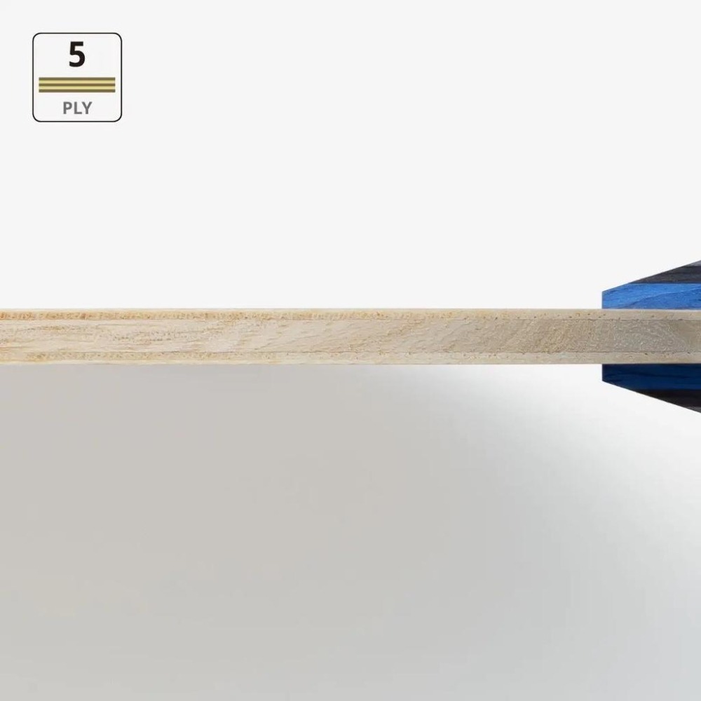 『簡單桌球』現貨 Butterfly Falcima 日本內銷版-細節圖4