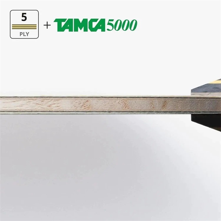 『簡單桌球』現貨 Butterfly 張繼科T5000  ST 日本內銷版(即將絕版)-細節圖4