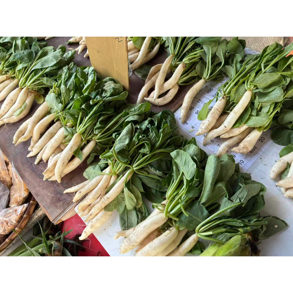 當季鮮甜可口嫩美濃小白玉蘿蔔-細節圖2