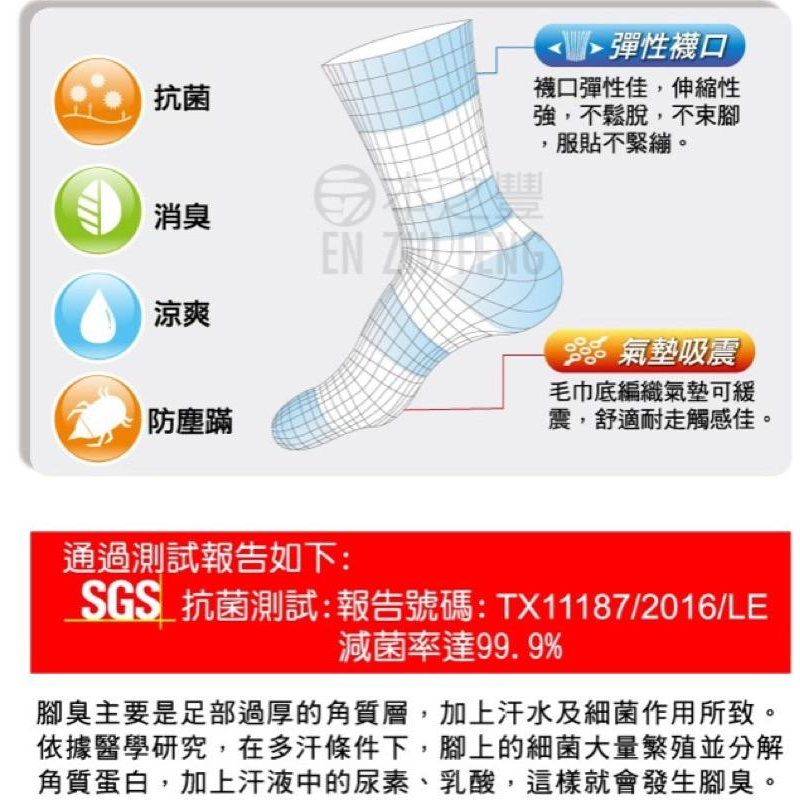 姊姊棉海 除臭襪 抗菌消臭 1/2襪 短襪 女襪 細針 純棉不會臭的襪子 台灣製 減少異味 本之豐0136-細節圖2