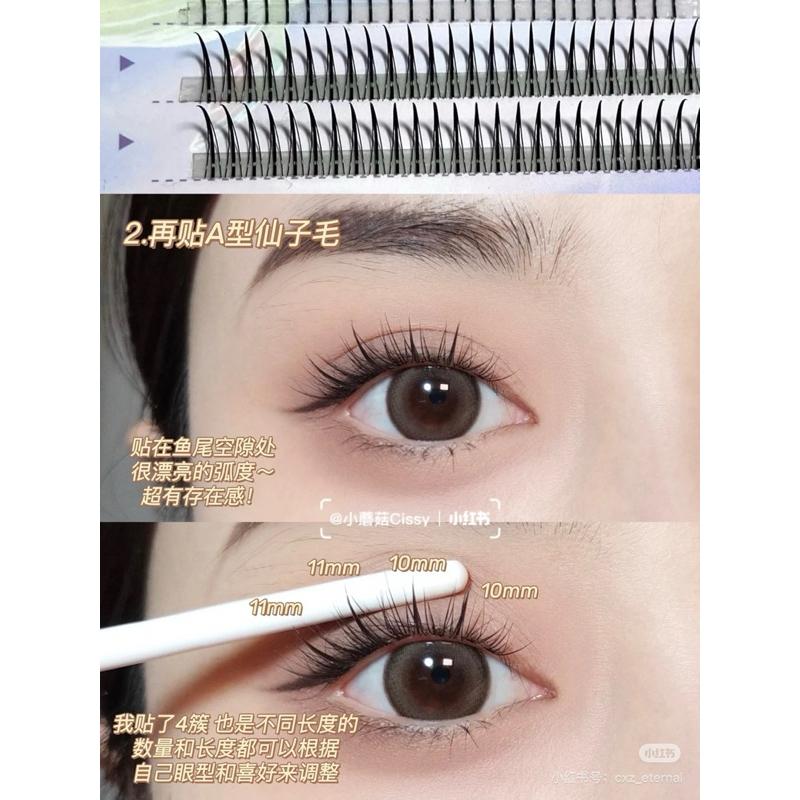 新品現貨｜𝙀𝙑𝙀𝙍𝘽𝘼𝘽 單簇假睫毛⚡️媽生睫毛輕鬆get‪‪‪‪.ᐟ.ᐟ小紅書超火的辣🔥-細節圖4