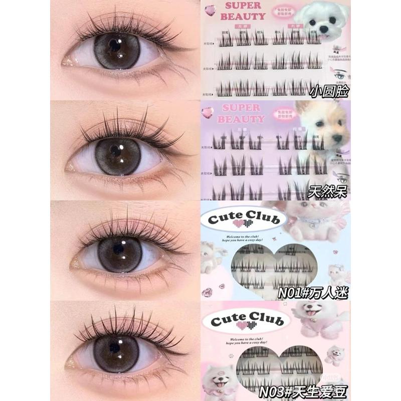 新品現貨｜𝙁𝙇𝙊𝙍𝙏𝙏𝙀 花洛莉亞免膠假睫毛💃🏻重複使用超省錢！-細節圖7