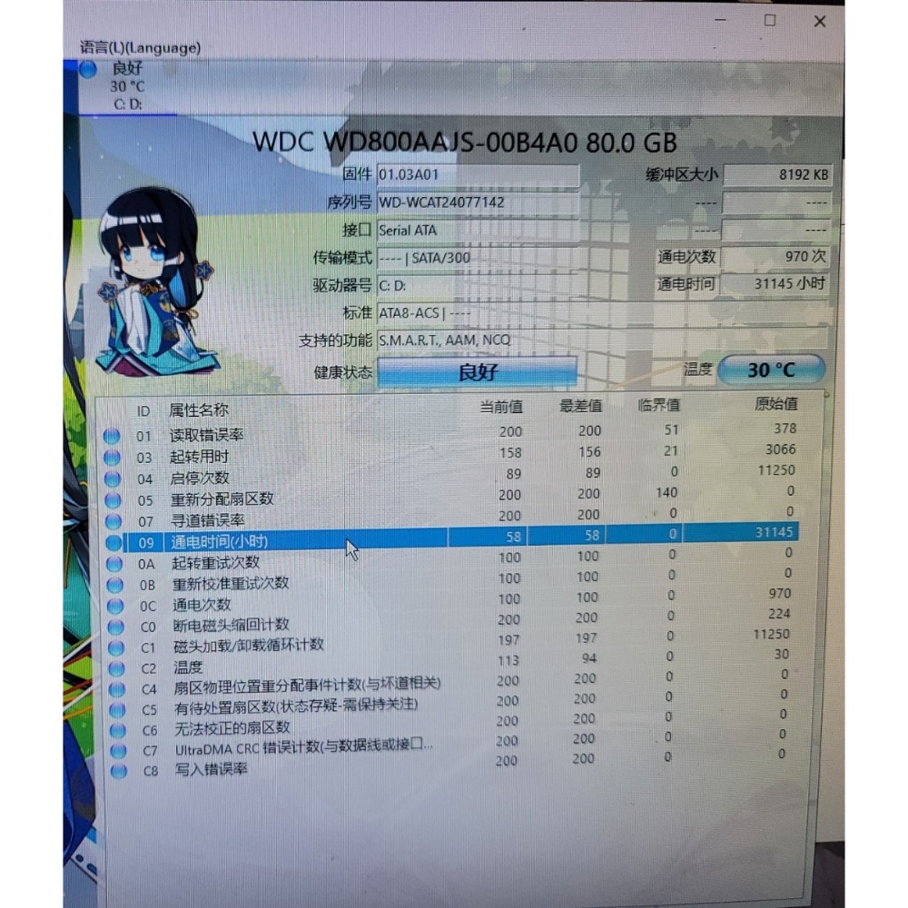 ［二手硬碟］威騰 80G 機械硬碟 WD800AAJS-細節圖2