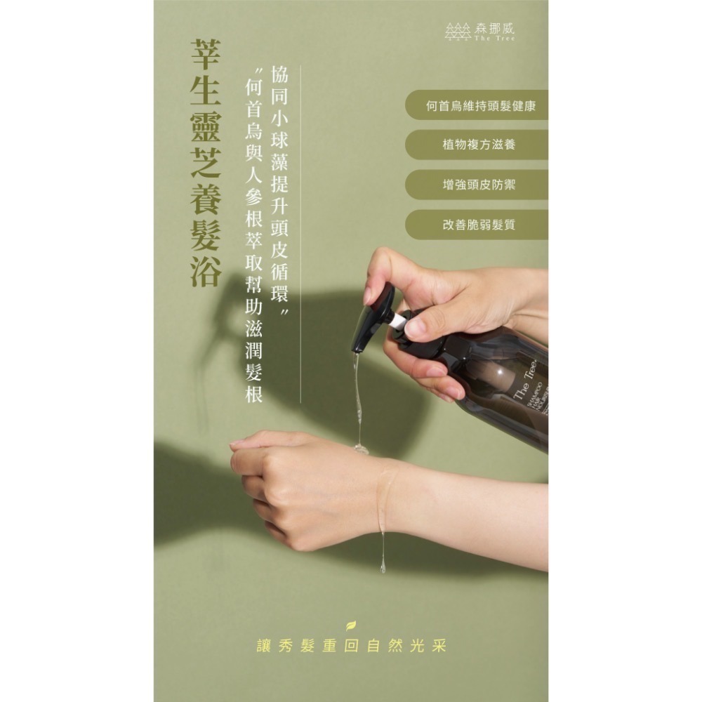 買一送一💥森挪威新品｜蓬鬆無極限最新單品莘生靈芝養髮浴-細節圖2