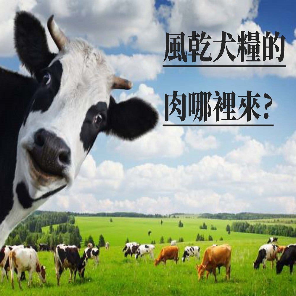 【幸運貓】KIWI 奇異廚房 醇鮮風乾犬糧 草原嫩羊/穀飼鲜雞/原野牧牛 500g 60g-細節圖3