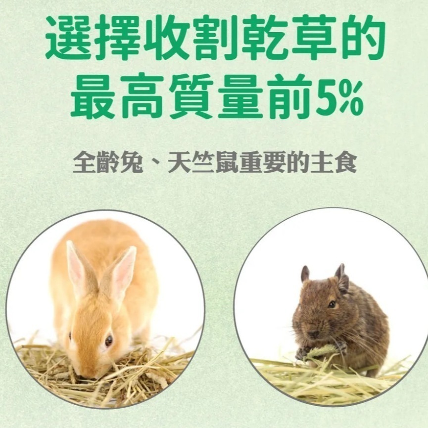 現貨【幸運貓】🐰 魔法兔 初割 第2割 美國 特級天然提摩西牧草 兔子牧草 寵物 425g-細節圖2