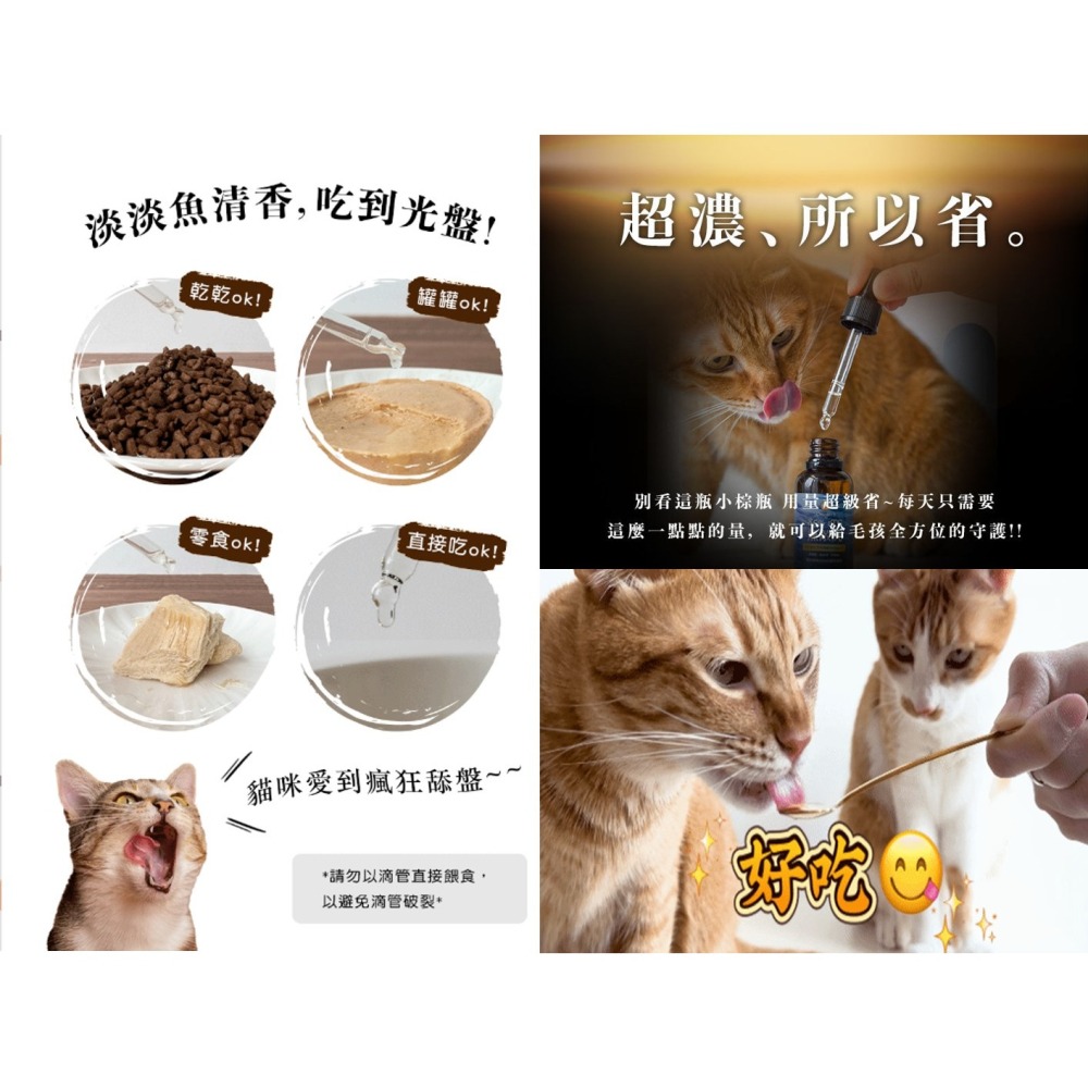 【幸運貓】ParkCat  85%無敵純 rTG 高純度魚油  (犬貓通用) 貓樂園 寵物保健 寵物魚油-細節圖5