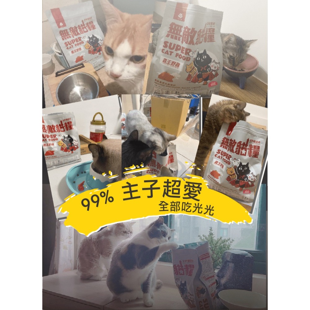 【幸運貓】ParkCat  貓樂園 無敵貓糧 貓糧 霸王野雞 6KG 貓飼料-細節圖6