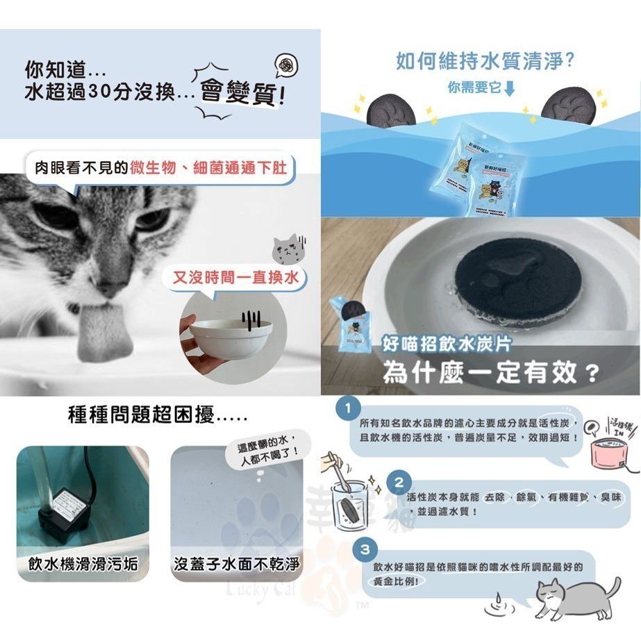 【幸運貓】 ParkCat 貓樂園  喝水好喵招 水質清淨-細節圖2