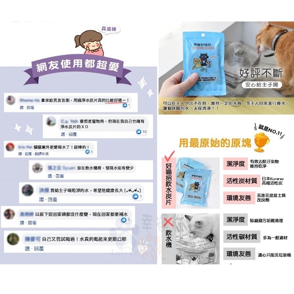 【幸運貓】 ParkCat 貓樂園  喝水好喵招 水質清淨-細節圖5