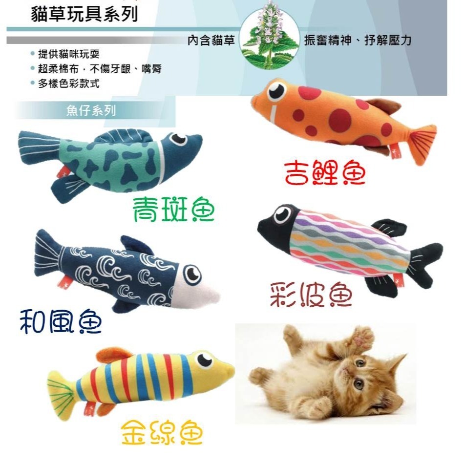 【幸運貓】Amy Carol 魚仔 貓草玩具系列 青斑魚/吉鯉魚/和風魚/彩波魚/金線魚-細節圖2