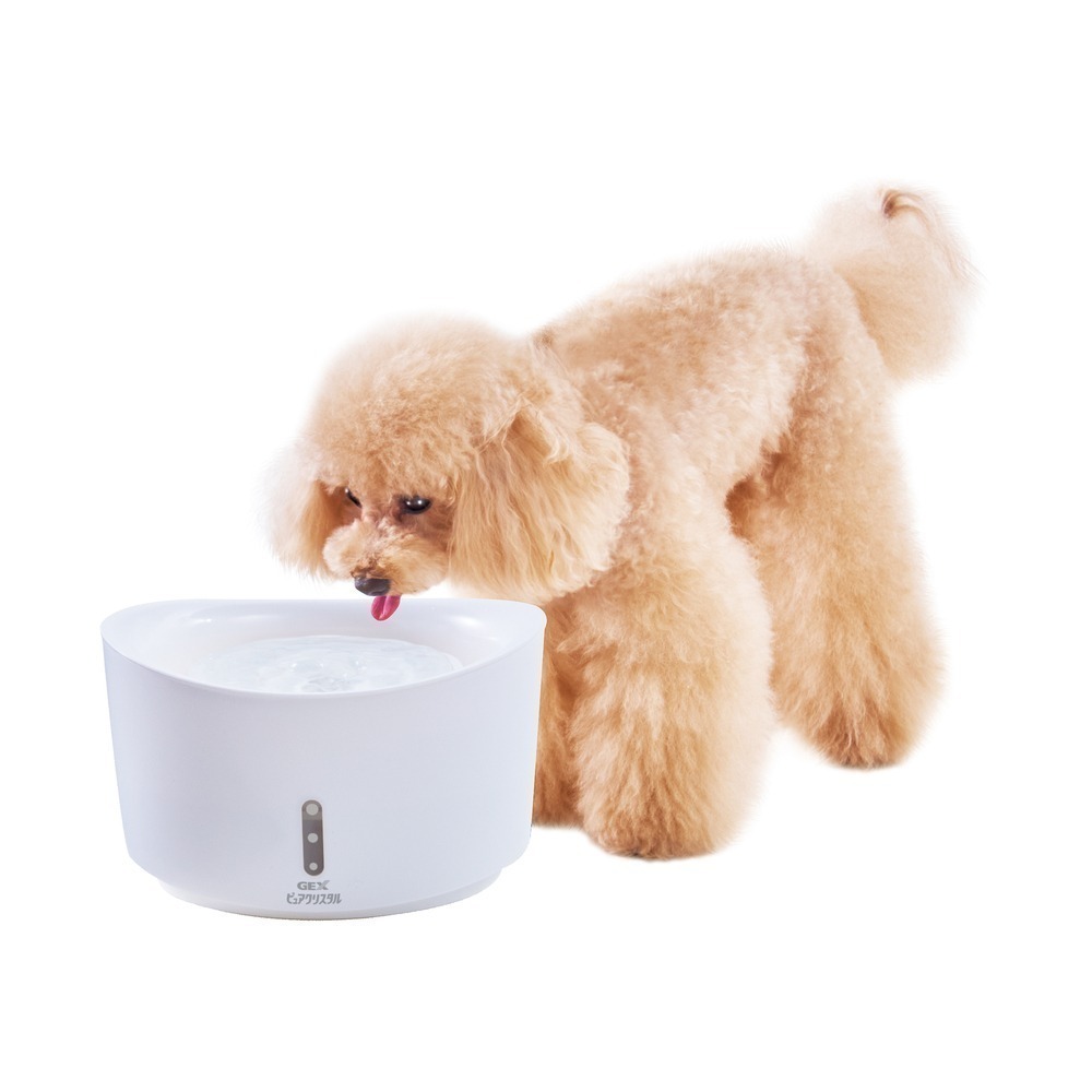 【幸運貓】😎老闆說就是要破盤價😎日本 GEX 1.5L / 2.5L 犬用 視窗型淨水循環飲水器 自動飲水器-細節圖5