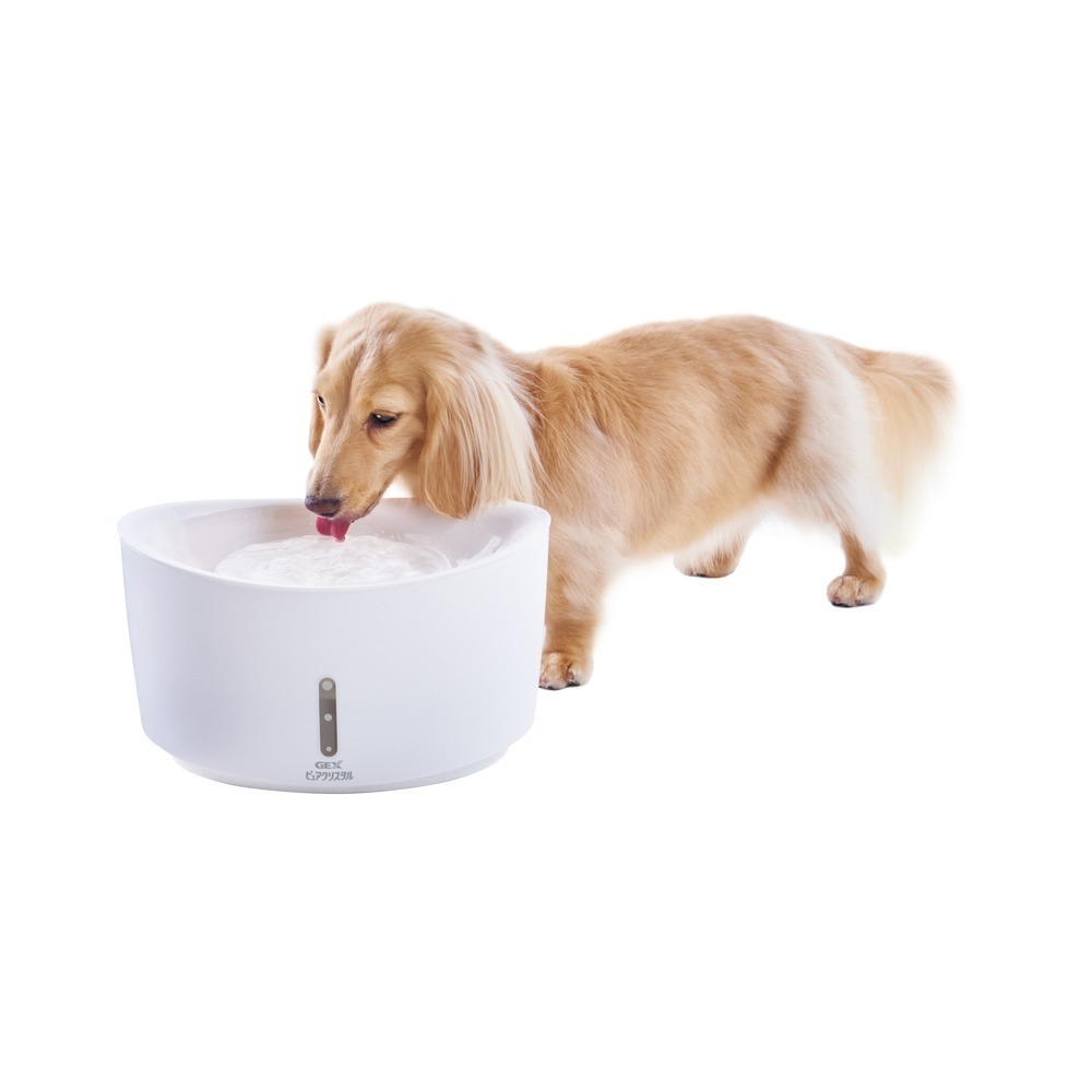 【幸運貓】😎老闆說就是要破盤價😎日本 GEX 1.5L / 2.5L 犬用 視窗型淨水循環飲水器 自動飲水器-細節圖7