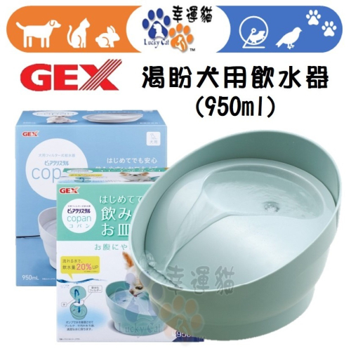 【幸運貓】日本 GEX 渴盼犬用飲水器-白色 / 薄荷綠 寵物飲水器 犬用飲水器 循環式飲水器 自動飲水器