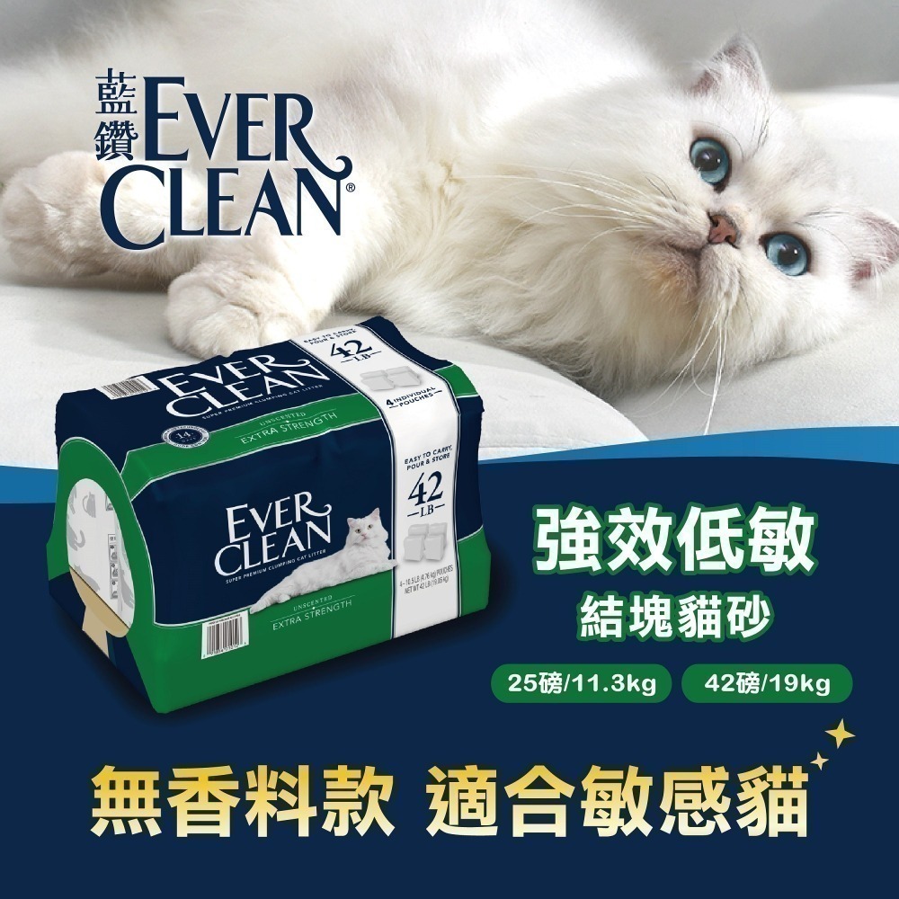 限量特價【幸運貓】EverClean 藍鑽 低過敏結塊貓砂 (4袋入)（綠標）42磅 (19KG)-細節圖2