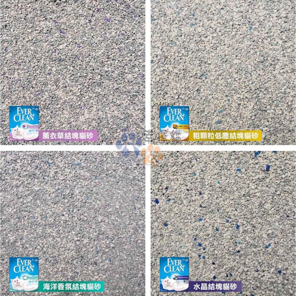 庫存品出清【幸運貓】EverClean 藍鑽 結塊貓砂-9kg(10L) (歐規 / 低塵配方)-細節圖4