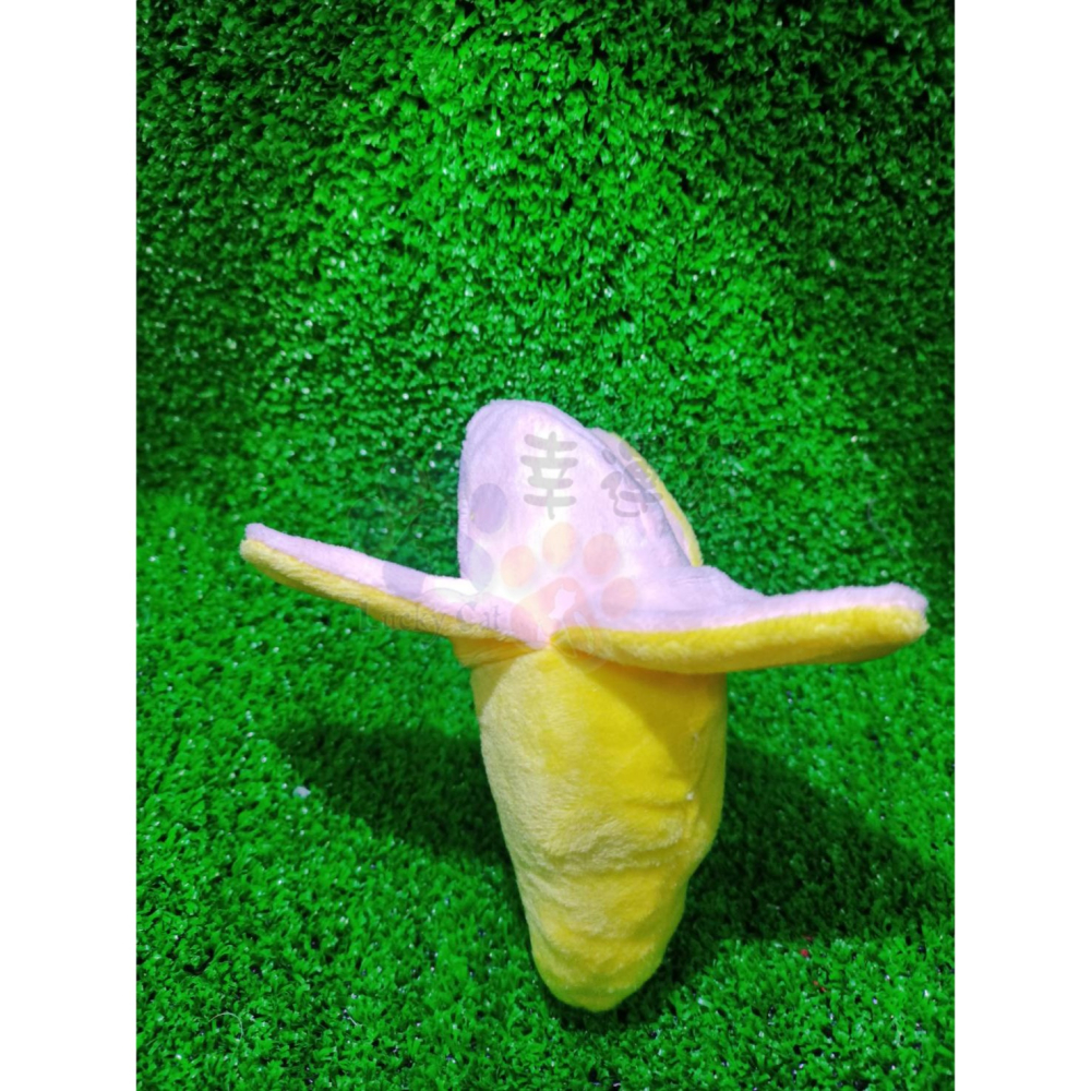 【幸運貓】蔬果造型 寵物玩具 胡蘿蔔 辣椒 青椒 香蕉 狗狗玩具 貓咪玩具-細節圖10