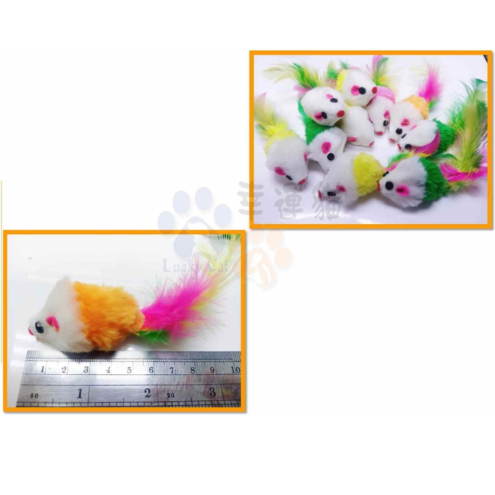 【幸運貓】絨毛發聲小老鼠 七彩絨毛小鼠 寵物玩具 貓咪玩具-細節圖3