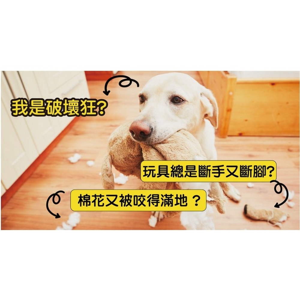 【幸運貓】TUFFY 拉扯拔河玩具-經典基本款- 耐咬圈圈/耐咬齒輪 寵物玩具 狗玩具-細節圖5