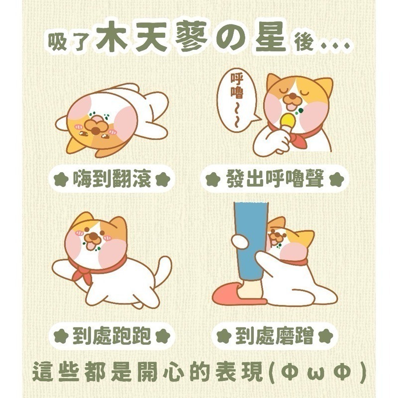 【幸運貓】好食寓所 木天蓼の星 貓草の星 貓草 木天蓼 全齡貓 貓薄荷 貓草 木天蓼 貓零食 貓零嘴-細節圖3