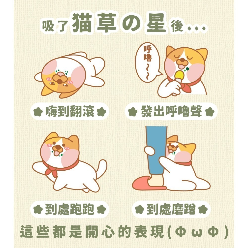 【幸運貓】好食寓所 木天蓼の星 貓草の星 貓草 木天蓼 全齡貓 貓薄荷 貓草 木天蓼 貓零食 貓零嘴-細節圖6