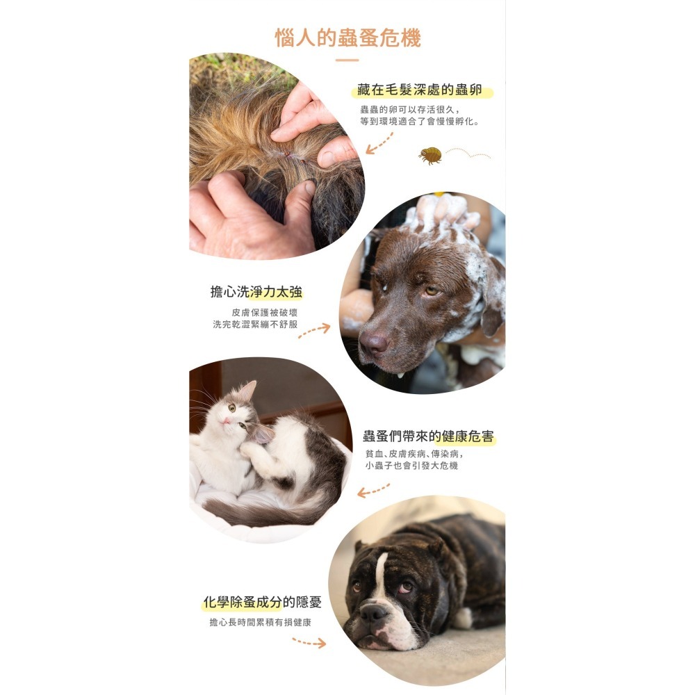【幸運貓】 黃金盾 寵物蚤蚤防護洗毛精 寵物洗毛精 500ml 狗狗洗毛精 貓咪洗毛精-細節圖3