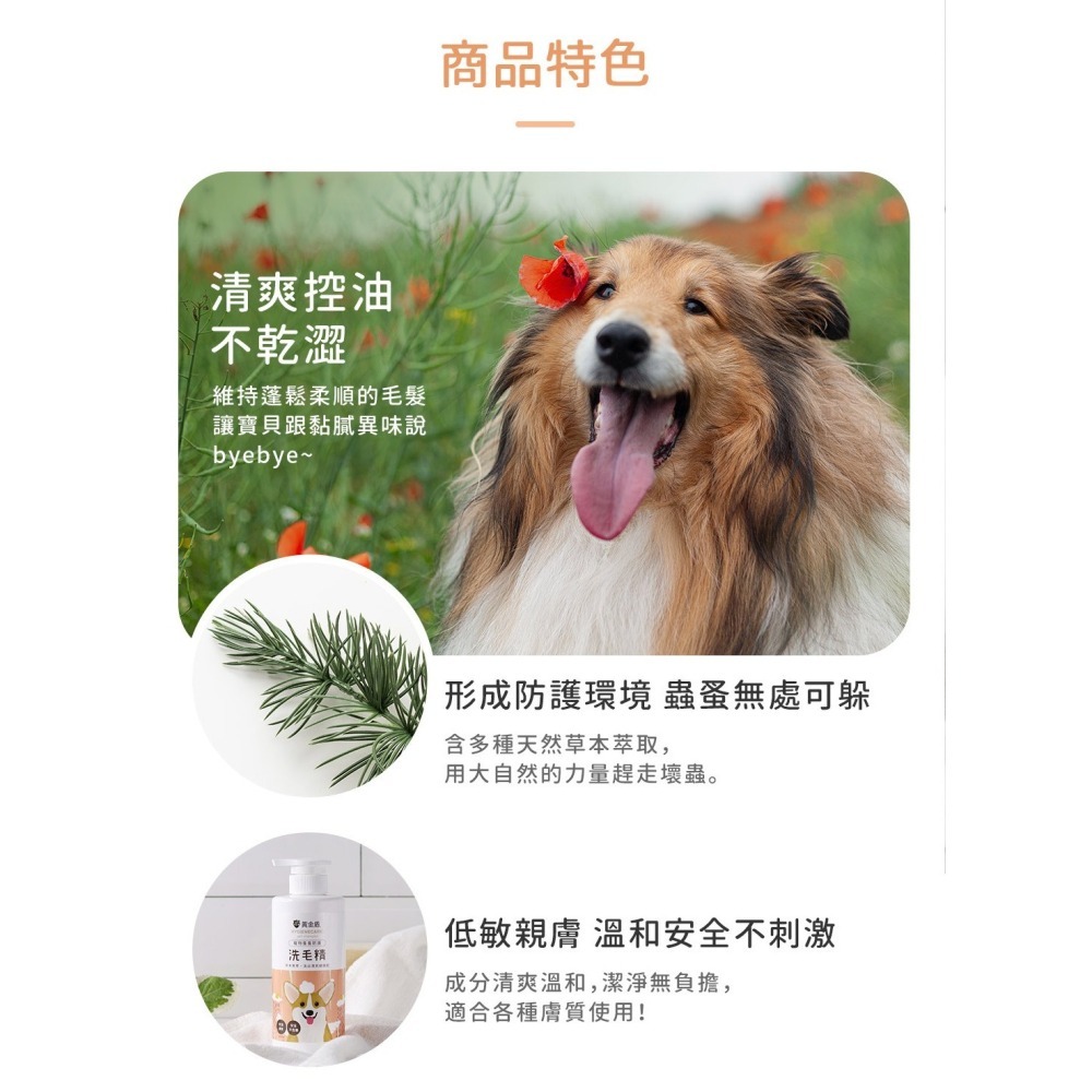 【幸運貓】 黃金盾 寵物蚤蚤防護洗毛精 寵物洗毛精 500ml 狗狗洗毛精 貓咪洗毛精-細節圖4