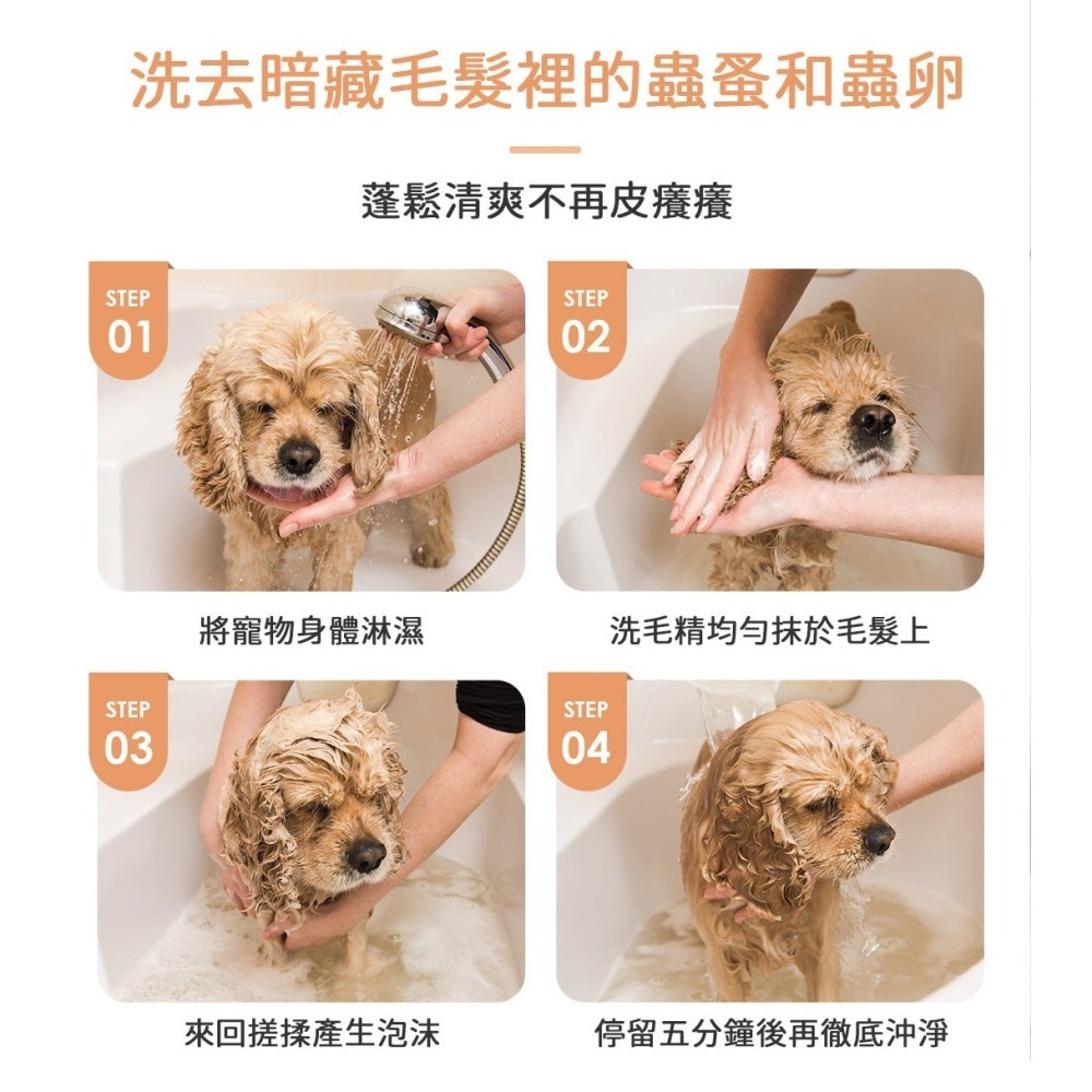 【幸運貓】 黃金盾 寵物蚤蚤防護洗毛精 寵物洗毛精 500ml 狗狗洗毛精 貓咪洗毛精-細節圖7