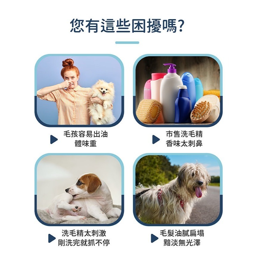 【幸運貓】 黃金盾 寵物毛髮除臭洗毛精 寵物洗毛精 500ml 狗狗洗毛精 貓咪洗毛精-細節圖3