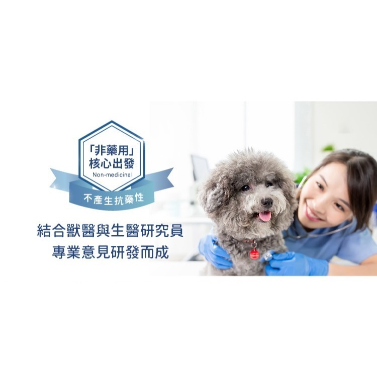 【幸運貓】 黃金盾 寵物毛髮除臭洗毛精 寵物洗毛精 500ml 狗狗洗毛精 貓咪洗毛精-細節圖6