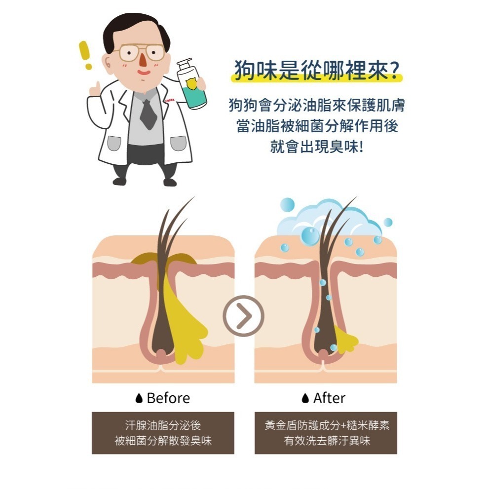 【幸運貓】 黃金盾 寵物毛髮除臭洗毛精 寵物洗毛精 500ml 狗狗洗毛精 貓咪洗毛精-細節圖4